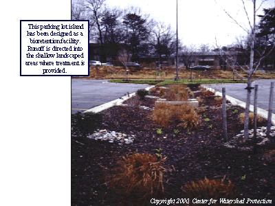 Bioretention islands can be built into your parking lot design to catch and absorb stormwater.  The island can be planted with a variety of native plants to beautify your parking facilities, as well. 