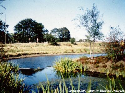 Wet detention basin