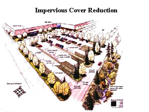 Up-front planning can include creating grassy swales  or leaving natural areas thereby allowing rainwater to be absorbed instead of ending up as runoff. This can lead to positive public recognition, as well.