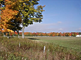 Crisp, clean air on an autumn afternoon