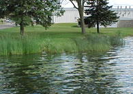 commercial building next to water body