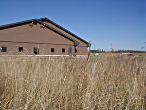 An example of a native prairie planting near a small business.